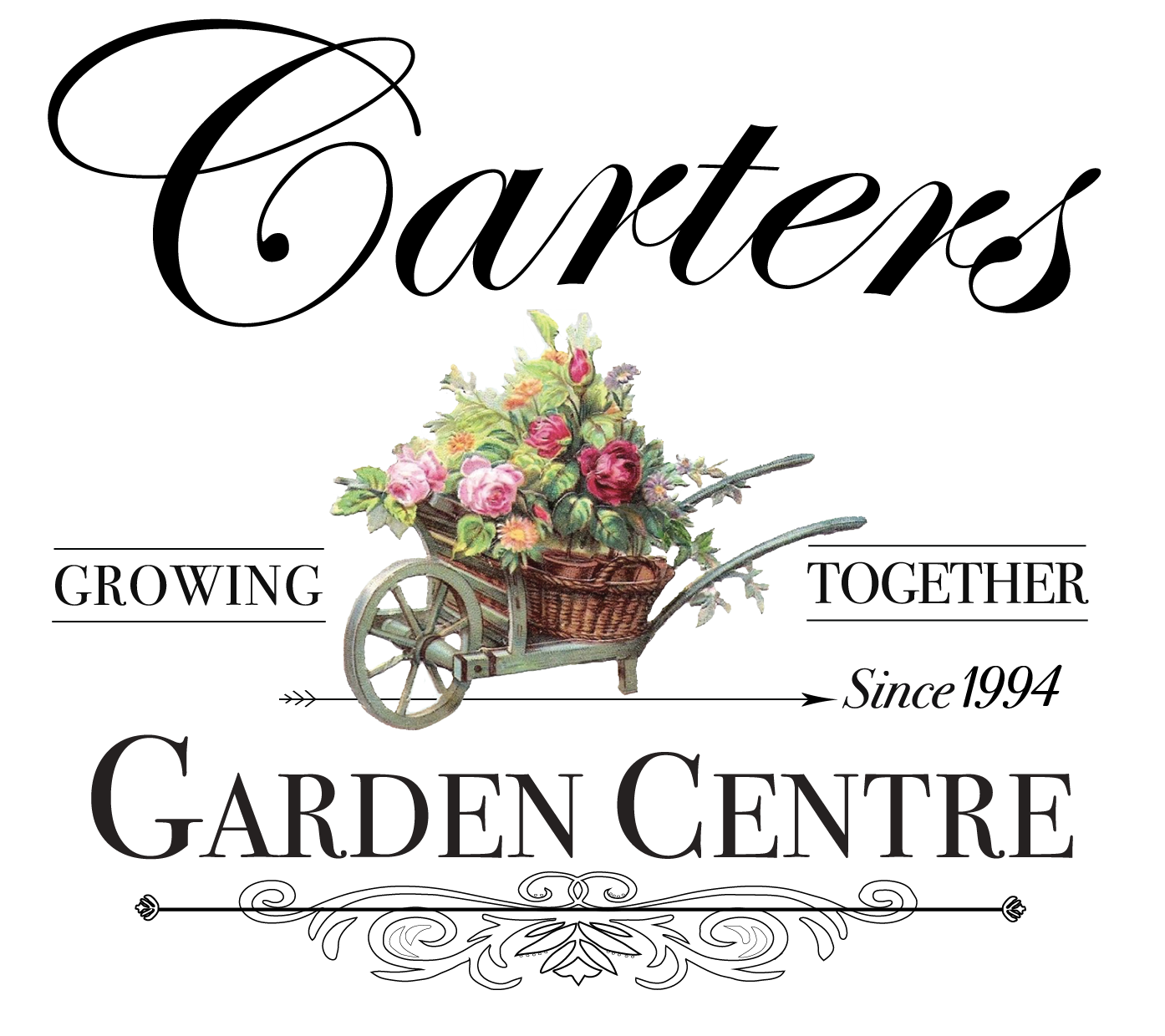 carters logo transparent background.webp